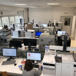 Attivit previste dal progetto