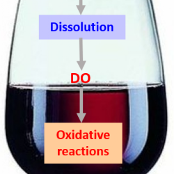 Articolo di M.Moutounet e Jean Claude Vidal dell'INRA FRANCE: la misura dell'ossigeno disciolto in cantina