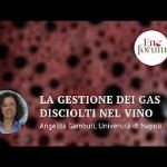 Intervento fatto sulla gestione dei gas disciolti nel vino ad Enoforum 2019