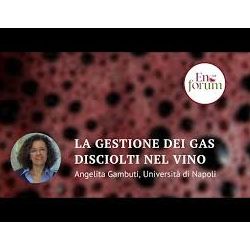 Intervento fatto sulla gestione dei gas disciolti nel vino ad Enoforum 2019