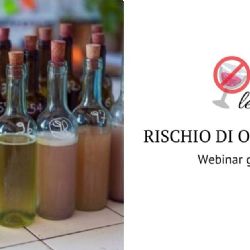 Webinar gratuito - Lossidazione dei vini. Nuovi sviluppi e potenzialit predittive