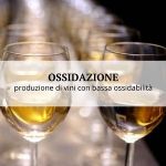 Ossidazione dei vini